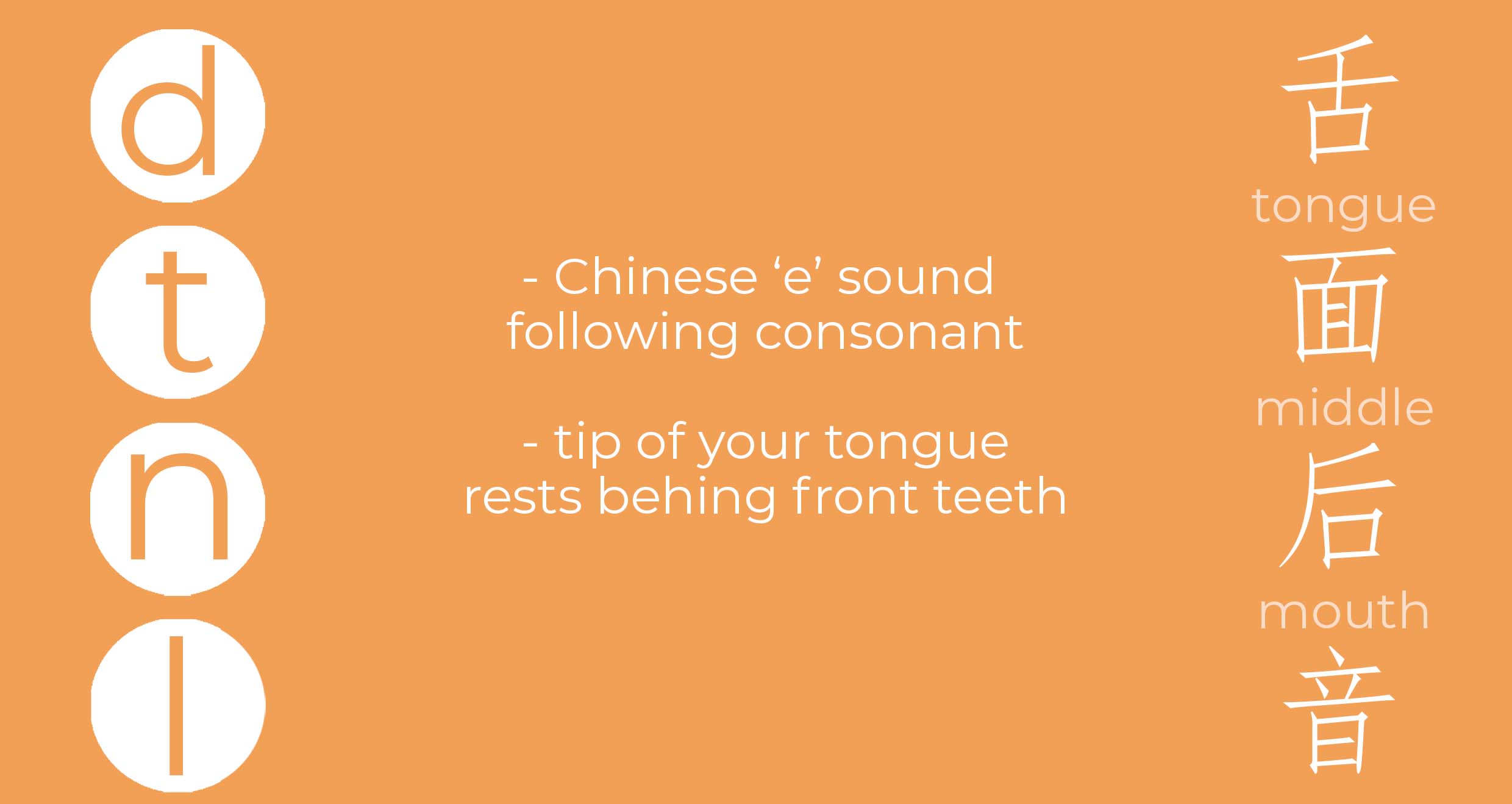 pronounce tongue middle mouth words d t n l information