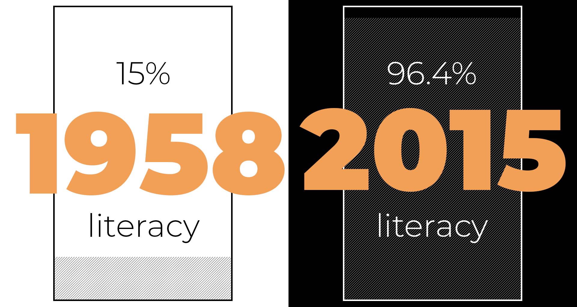 The change in Chinese literacy visual depiction of the changing literacy rates from 1958 to 2015